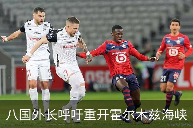 八国外长呼吁重开霍尔木兹海峡