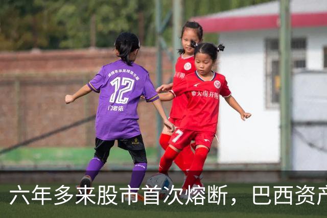 六年多来股市首次熔断，巴西资产遭全面重估