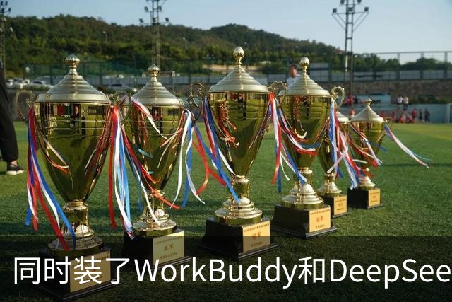 同时装了WorkBuddy和DeepSeek，试用5天之后，我卸载了其中一个