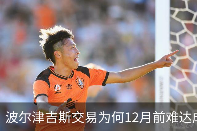 波尔津吉斯交易为何12月前难达成？美记点出两大障碍