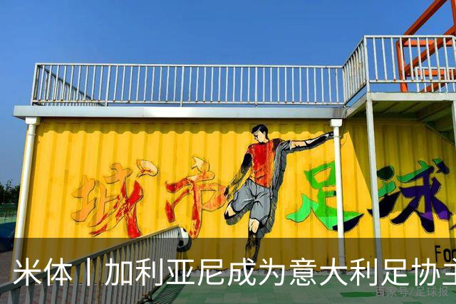 米体丨加利亚尼成为意大利足协主席热门人选